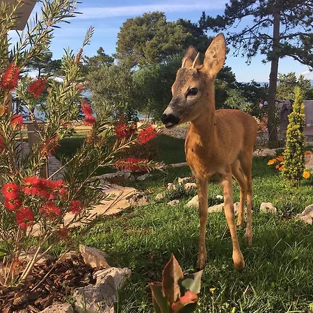 アパート Mare & Mons Seafront マリンスカ